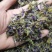 葛根花中药材葛藤花葛花茶干净精选解酒茶醒酒汤