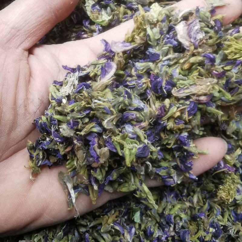 葛根花中药材葛藤花葛花茶干净精选解酒茶醒酒汤