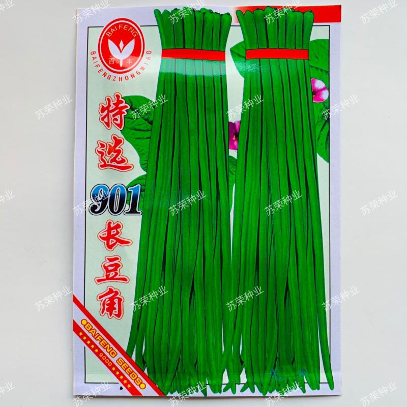 四季播种蔬菜种子特选901长豆角豇豆角爬藤豇豆种子抗病高