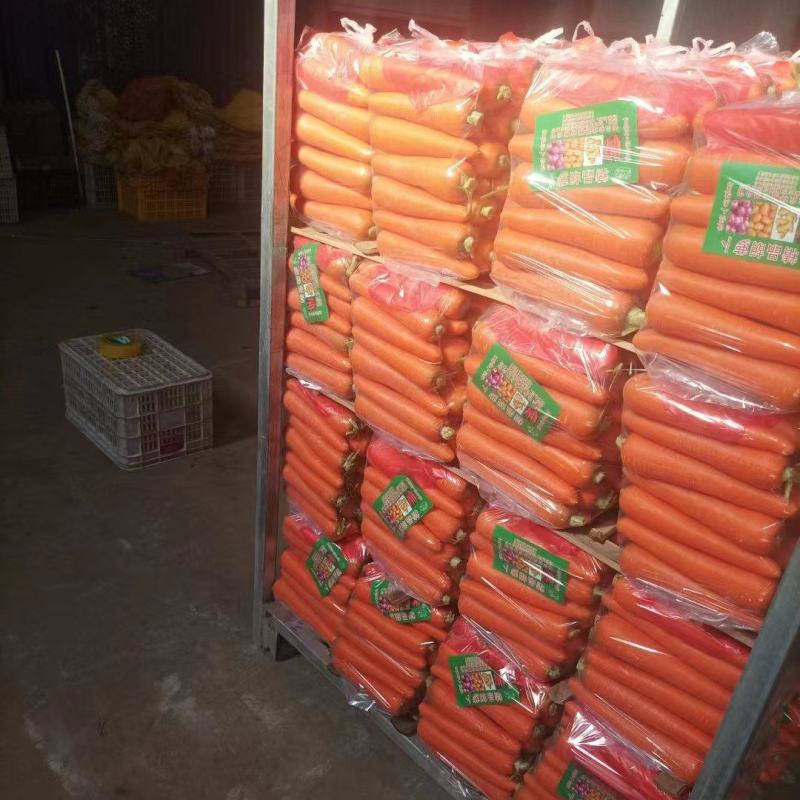 胡萝卜厂家供应，发货迅速，诚信经营，欢迎选购