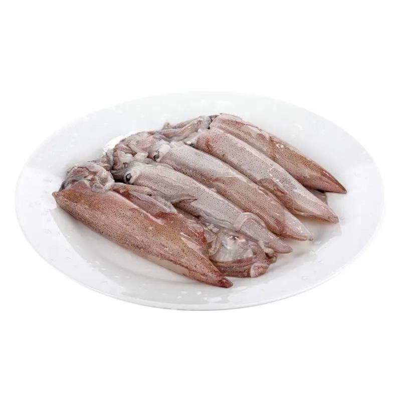 鲜活冷冻海兔子肉质软香又称笔管鱼
