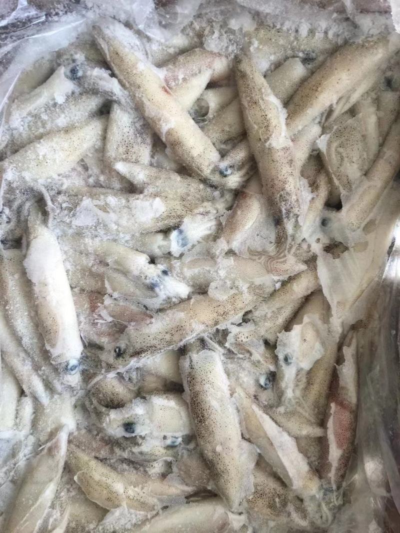 鲜活冷冻海兔子肉质软香又称笔管鱼