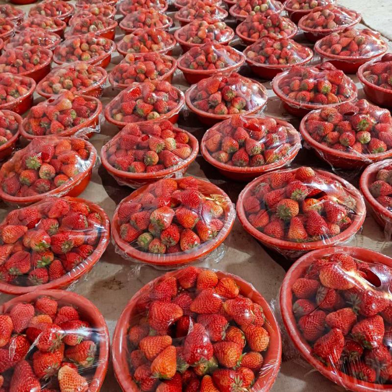 妙香草莓宁玉草莓品种多包装齐全对接各大平台商超