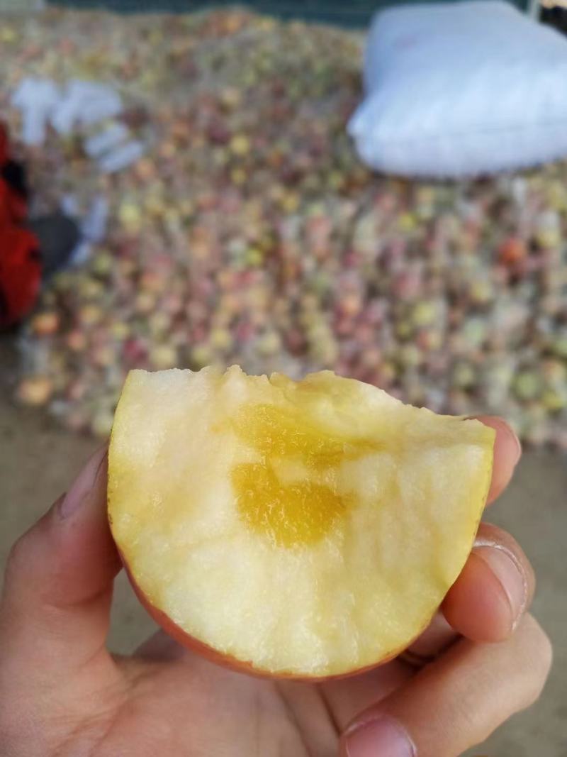 精品红富士，大量供货，产地直供，实地代收，按需包装！