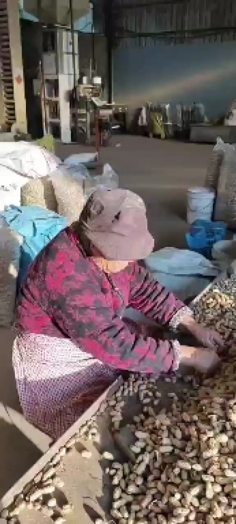 干白沙花生产地货，自己种植加工，自家种植富硒黒花生，白皮