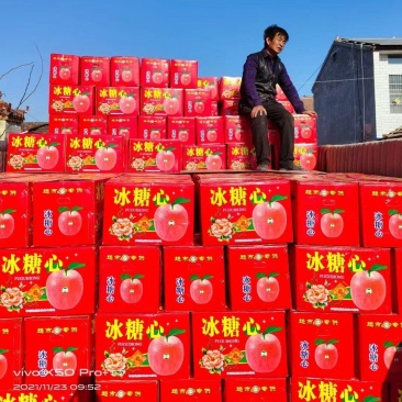 《优质精品红富士苹果》糖心富士，质量上乘火热预售中！