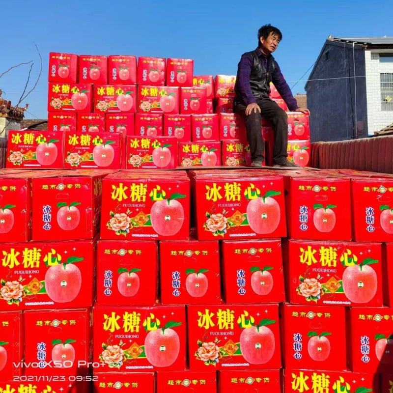 《优质精品红富士苹果》糖心富士，质量上乘火热预售中！