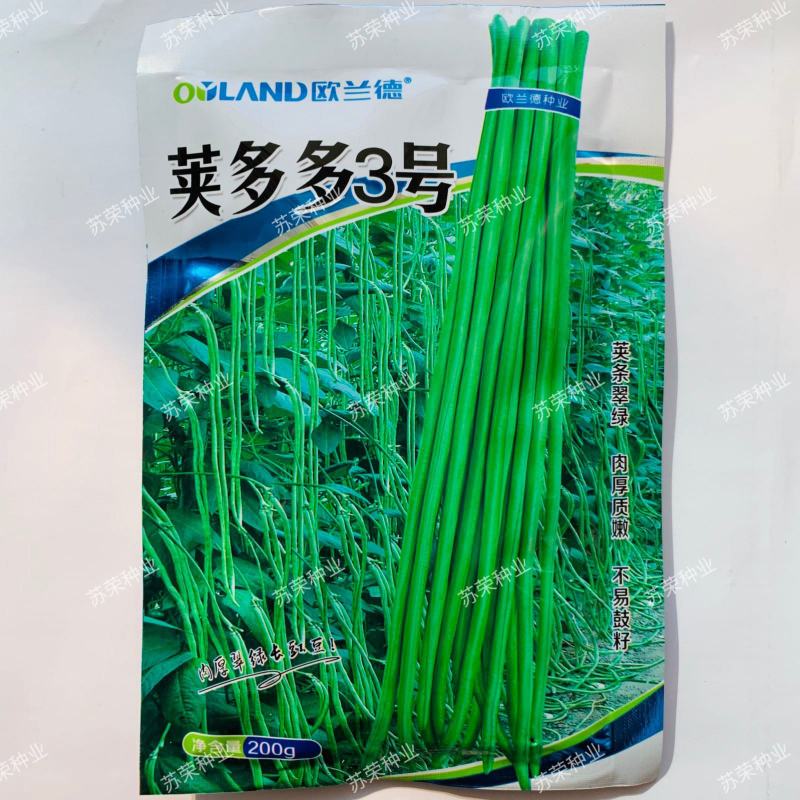 欧兰德荚多多3号豇豆种子春夏秋季抗热豆角种籽高产四季蔬菜