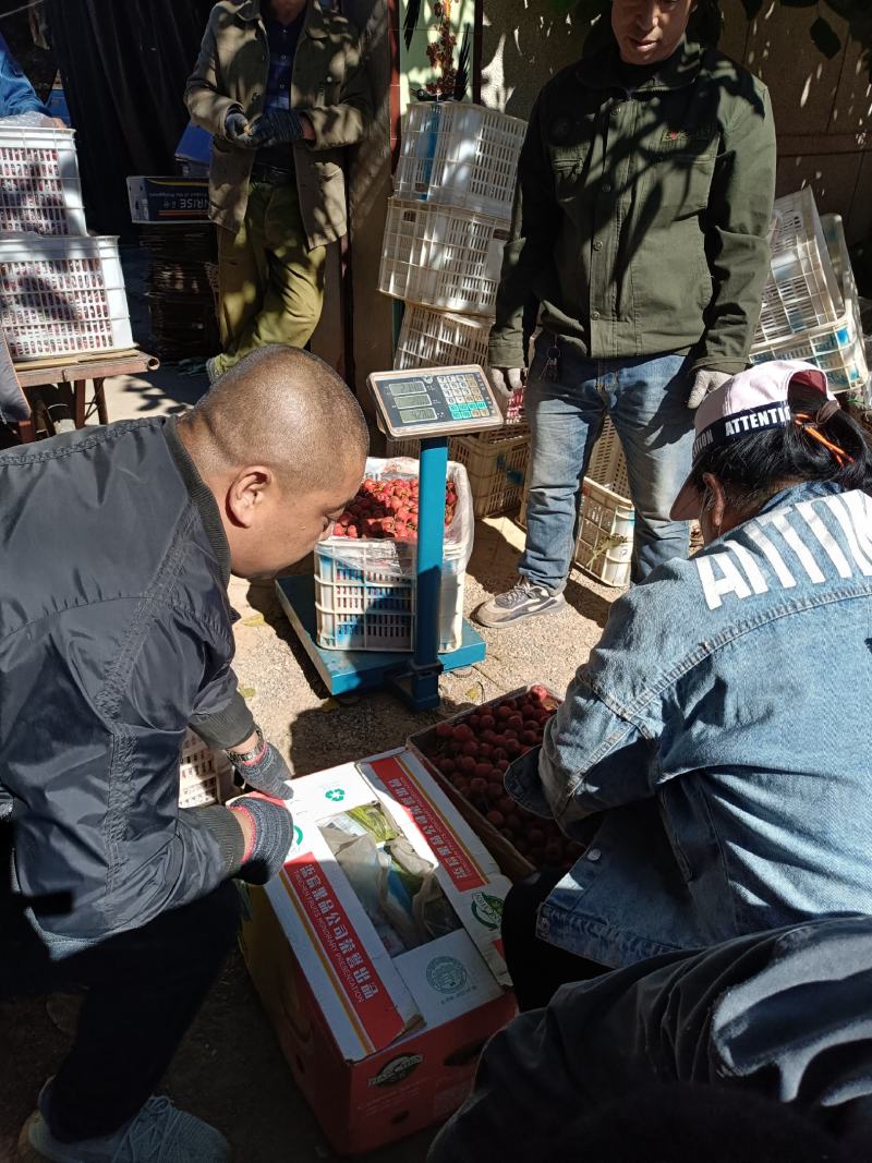 铁山楂，红皮红肉，甜口铁山楂！手摘果遵化党峪产！