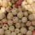 大量映霜红下货欢迎量大的老板联系每天大量