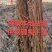 【牛商精选】伊钢健优质整棵梅干菜,全年有货,量大从优。