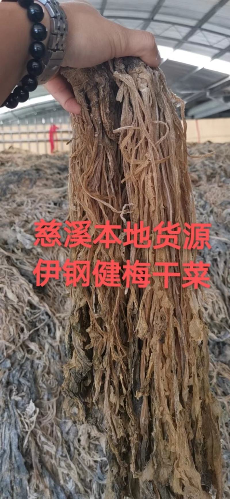 【牛商精选】伊钢健优质整棵梅干菜，全年有货，量大从优。