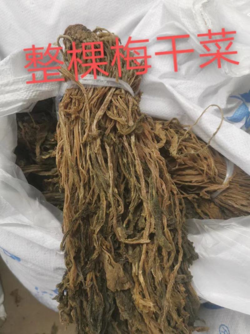 【牛商精选】伊钢健优质整棵梅干菜，全年有货，量大从优。