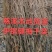 【牛商精选】伊钢健优质整棵梅干菜,全年有货,量大从优。