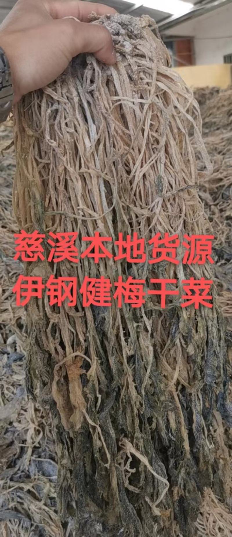 【牛商精选】伊钢健优质整棵梅干菜，全年有货，量大从优。