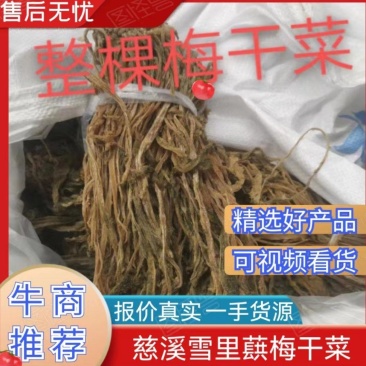 【牛商精选】伊钢健优质整棵梅干菜,全年有货,量大从优。