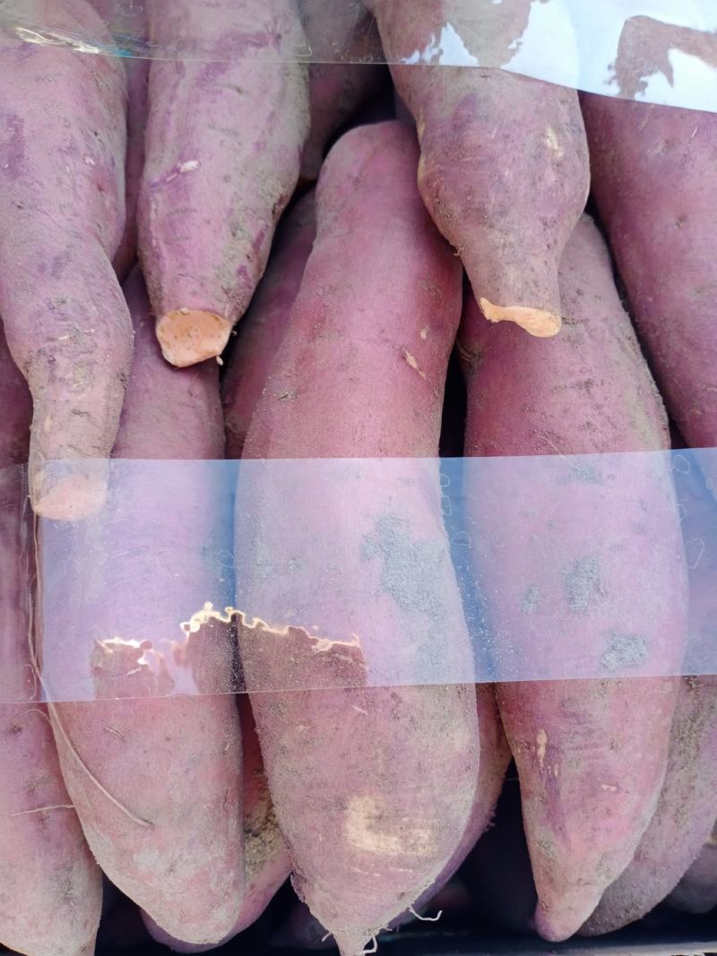 西瓜红地瓜，沙土地的，甜度非常高特别特别甜