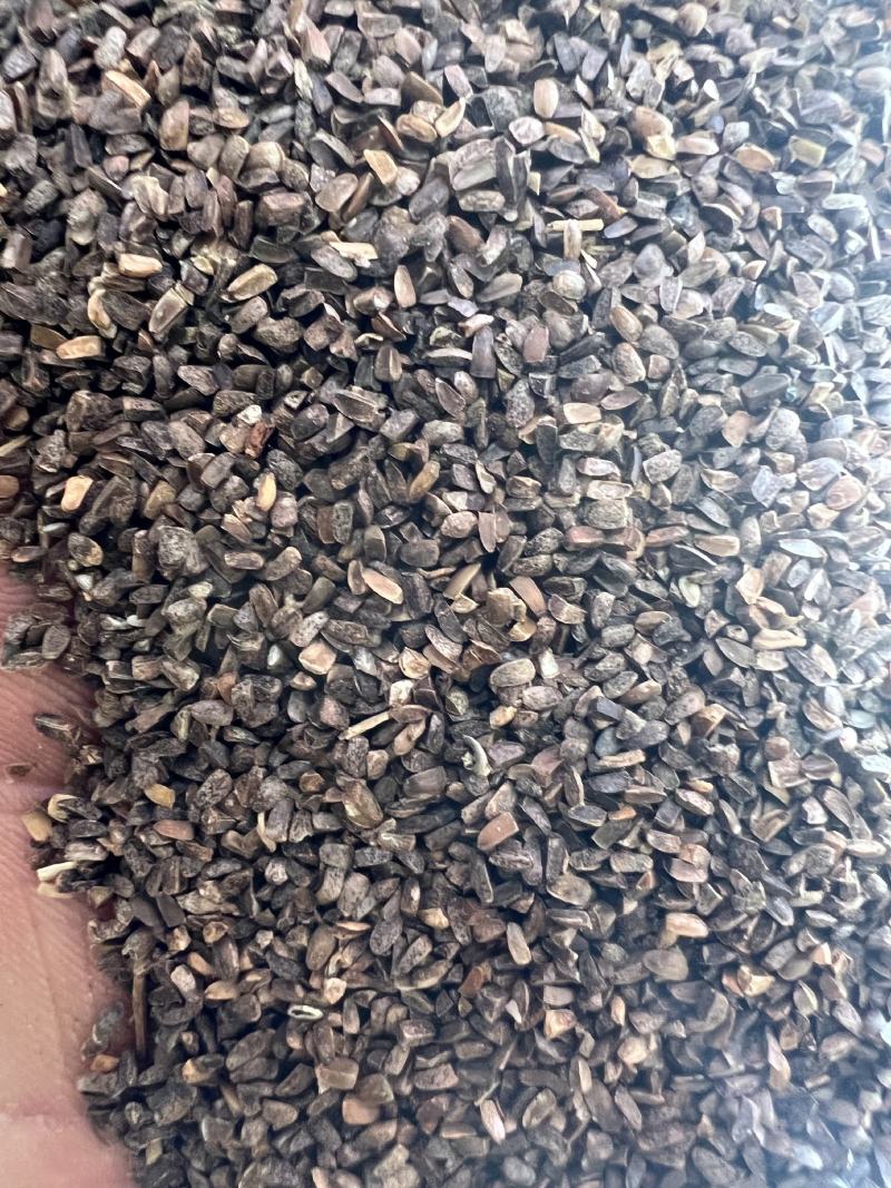 茺蔚子中药材，品质有保证，量大从优欢迎进店选购