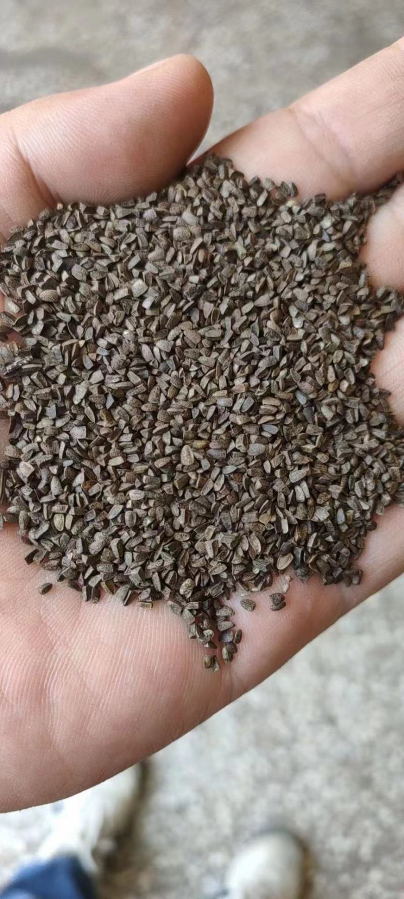 茺蔚子中药材，品质有保证，量大从优欢迎进店选购