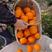 【推荐】脐橙纽荷尔脐橙，秭归脐橙，产地一手货源，价格美丽