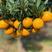 【推荐】脐橙纽荷尔脐橙，秭归脐橙，产地一手货源，价格美丽