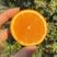 【实力】夏橙量大从优果园直采稳定货源可视频看货