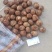 山东8520芋头产地大量供应保质保量质优价廉