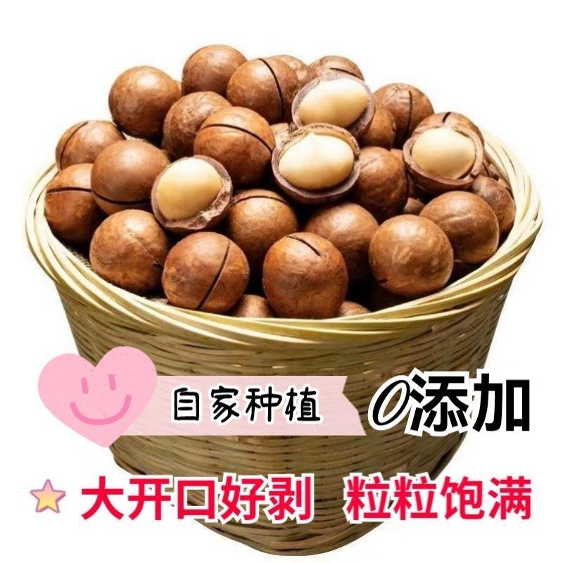 新货夏威夷果澳洲坚果孕妇坚果不上火休闲零食一件代发批发