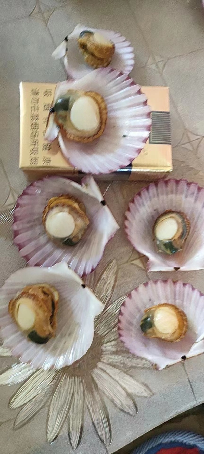 精品港湾贝小红贝一手货源产地直供欢迎各位老板前来咨询