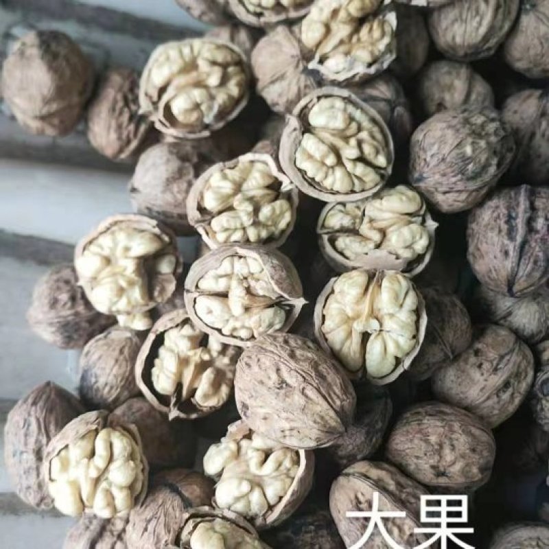 热销干核桃，四川大凉山木里县大优一号果仁饱满产地直发