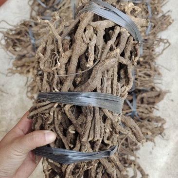 中药材金线风金锁匙百解藤选货保证质量货源充足