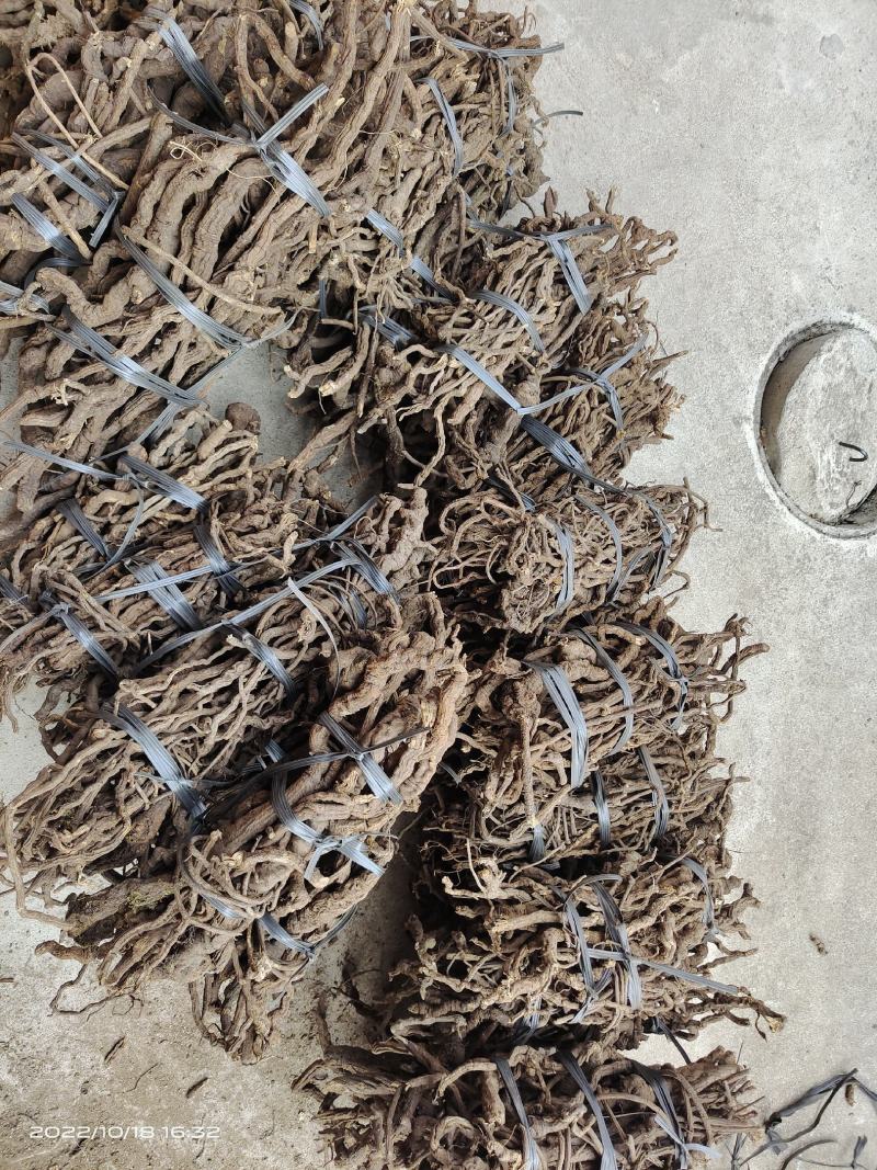 中药材金线风金锁匙百解藤选货保证质量货源充足
