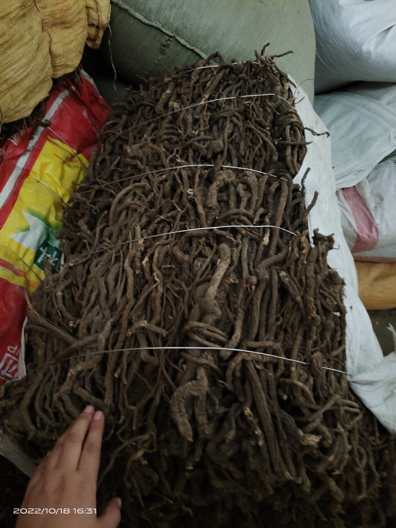 中药材金线风金锁匙百解藤选货保证质量货源充足