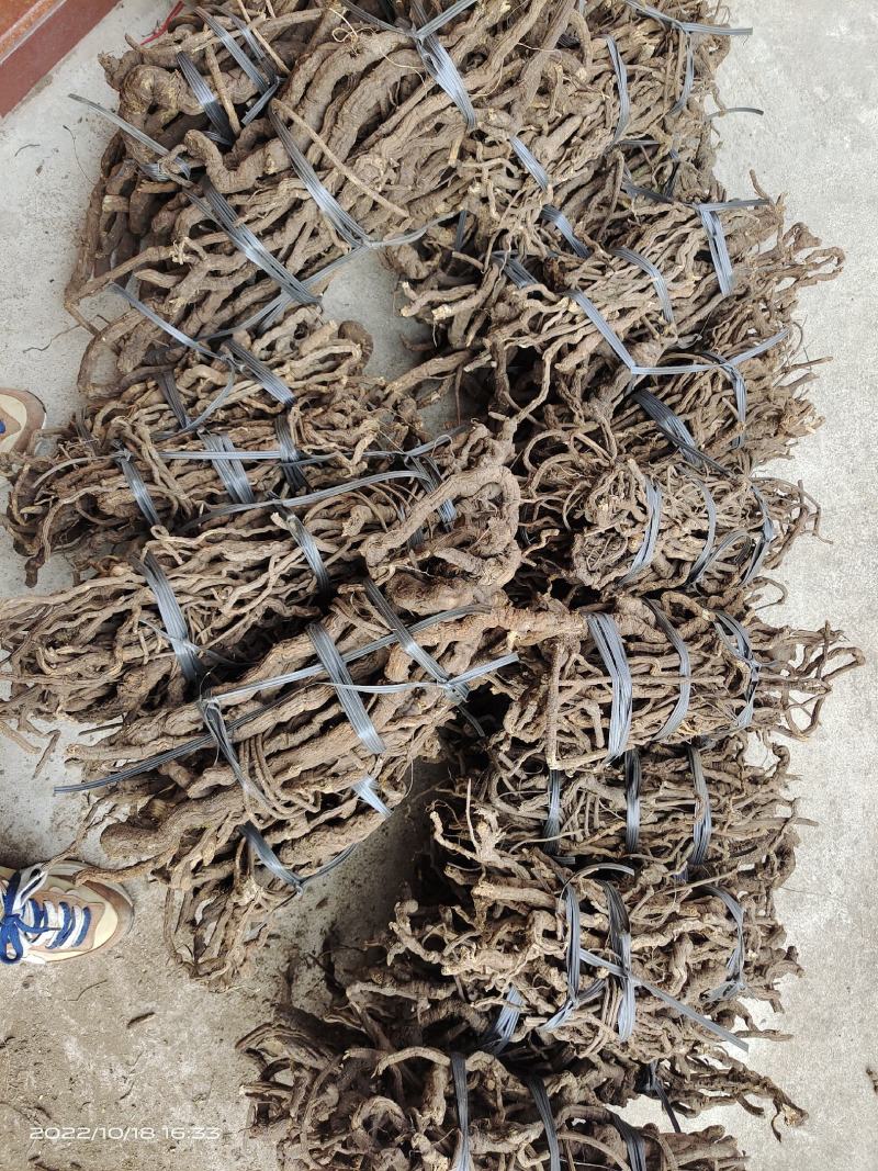 中药材金线风金锁匙百解藤选货保证质量货源充足