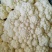 砀山精品有机花菜，青梗白面，小米粒，货源充足，产地直发。