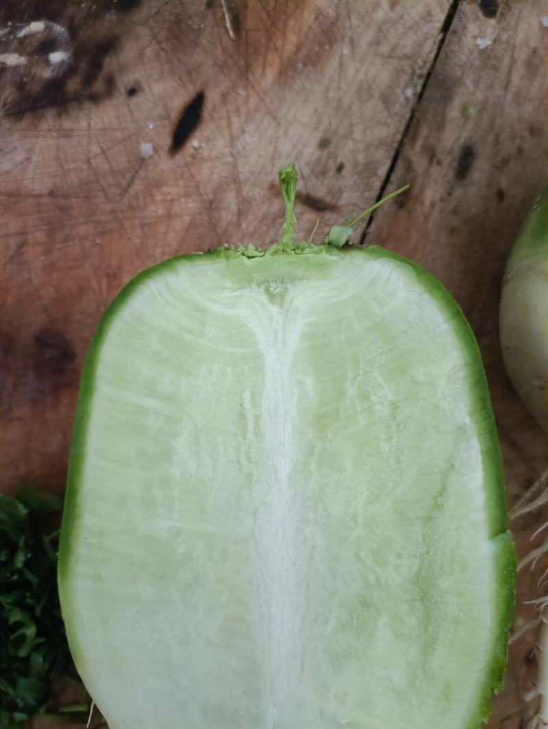 青萝卜