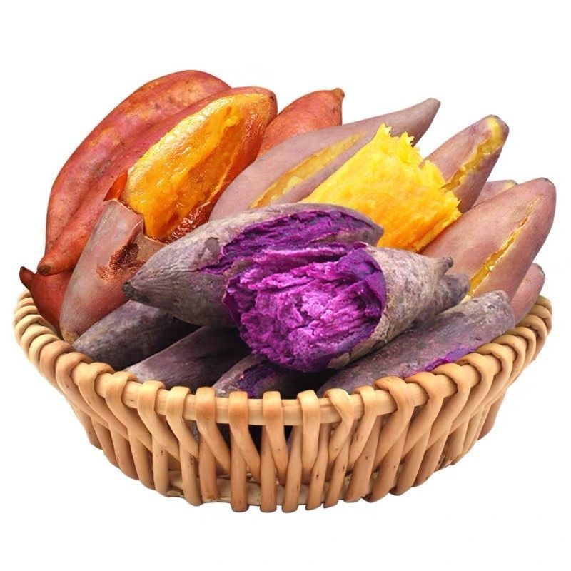 2022现挖新鲜红薯蜜薯板栗薯烤薯地瓜番薯西瓜红紫薯大量