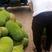海南菠萝蜜一件代发现摘现发货货源充足