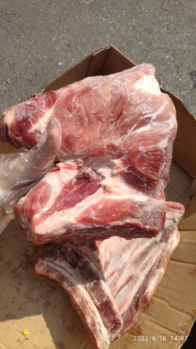 肥猪去颈前排，肉质新鲜度高，性价比高，欢迎新老客户下单
