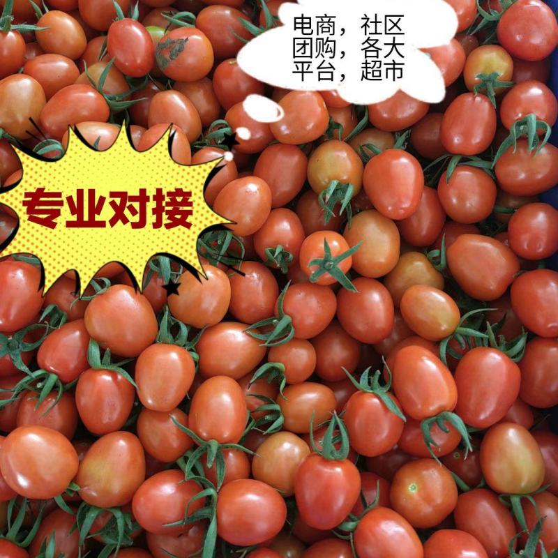 整车配拼多多抖音一件代发，全年无休，保质保量，欢迎咨询