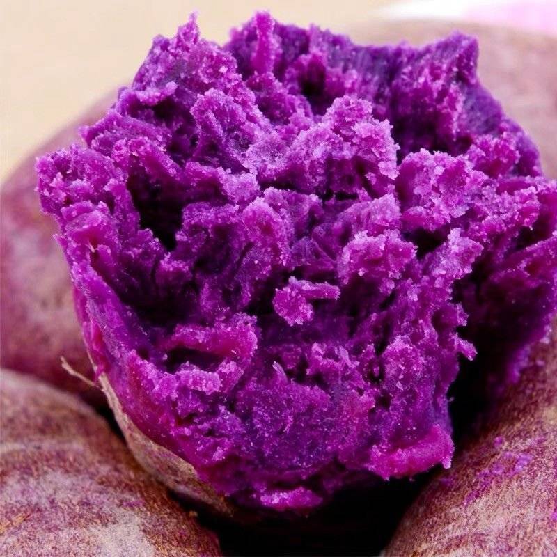 【紫薯】湖北紫罗兰紫薯红薯软糯无丝供应商超市场电商