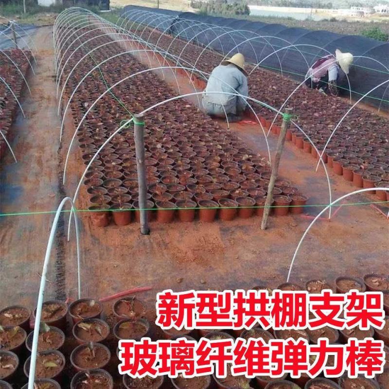 【优选】周口西华县大棚玻璃纤维棒弓子一手货源质量保证