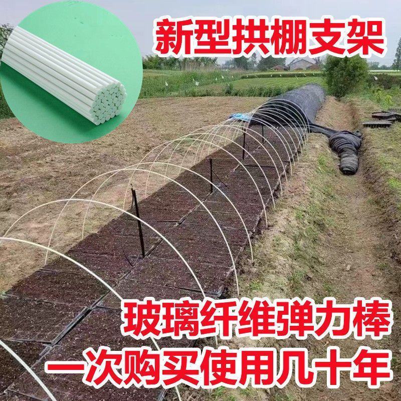【推荐】周口西华县大棚玻璃纤维棒弓子蔬菜育苗