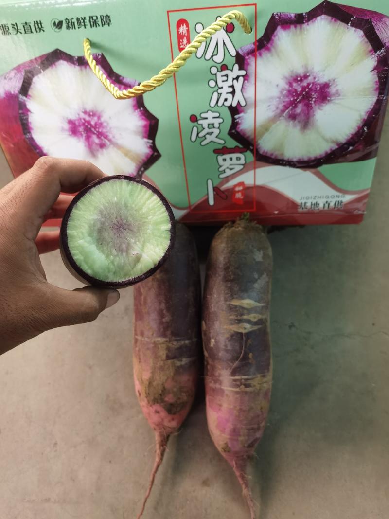 【实力】山东水果萝卜冰激淋/冰糖心/红皮萝卜支持零售批发