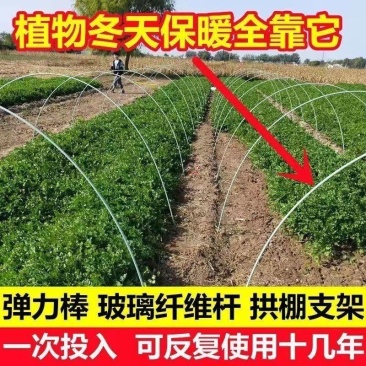 【推荐】周口西华县弹力棒玻璃纤维杆弓子一次投入长期用