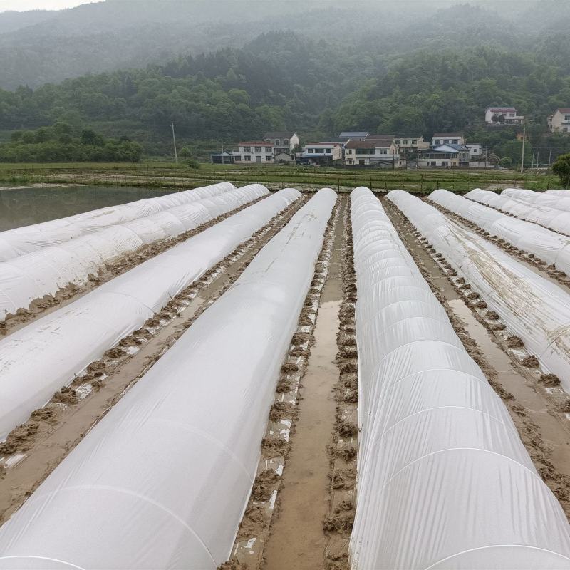 【推荐】周口西华县弹力棒玻璃纤维杆弓子一次投入长期用