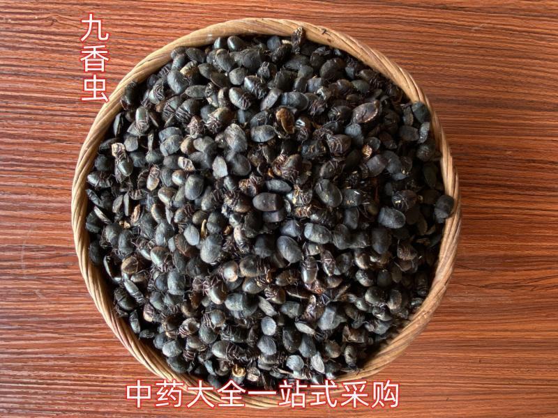 四川九香虫小个九香虫新货散装统货中药材批发大量批发各种规