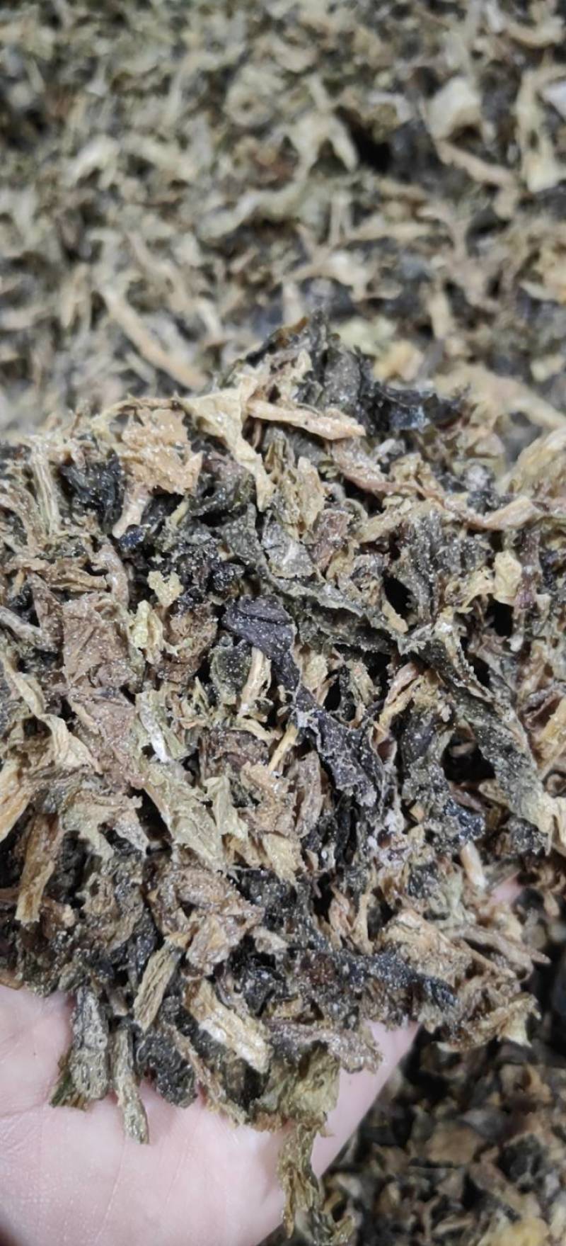【牛商精选】伊钢健优质梅干菜，切碎，全年有货，量大从优。