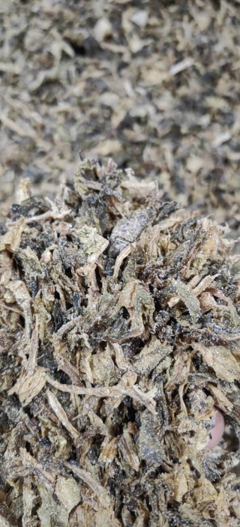 【牛商精选】伊钢健优质梅干菜，切碎，全年有货，量大从优。