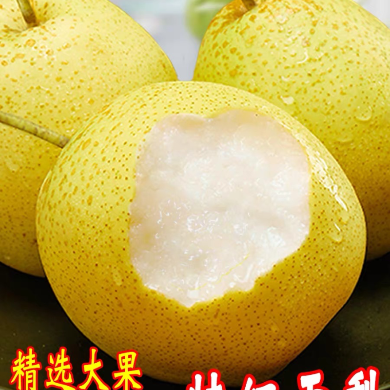 大雪花梨甘甜汁多欢迎来电咨询